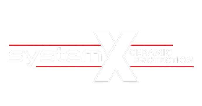 SystemX-FI-removebg-preview